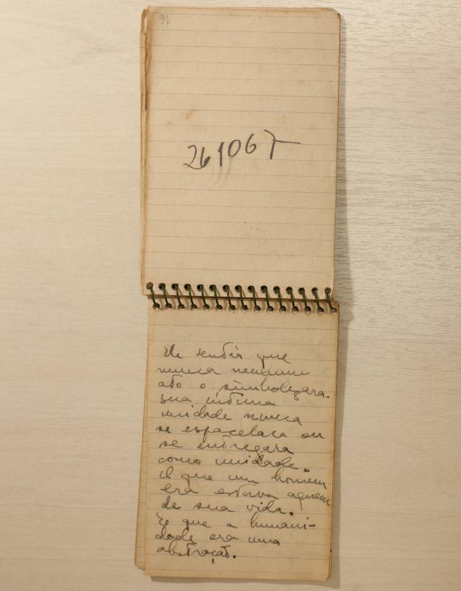 Fragmentos de la obra de Clarice Lispector |La Malinche