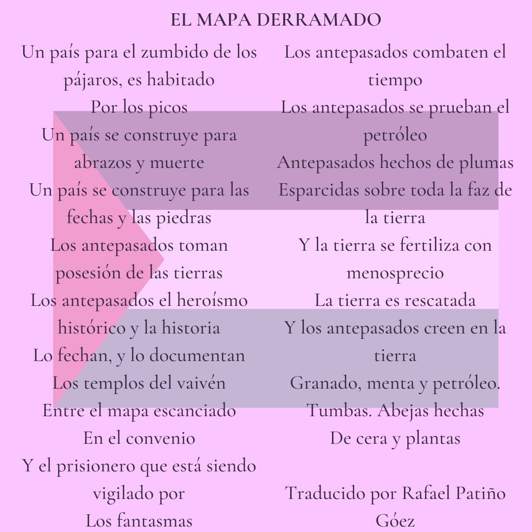 Nidaa Khoury | La Malinche sale de visita