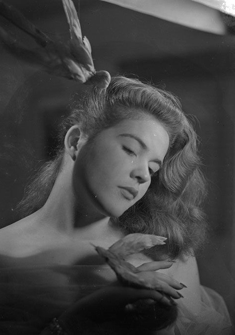 María Elena Gertner y el sueño del coronel | La Malinche blog