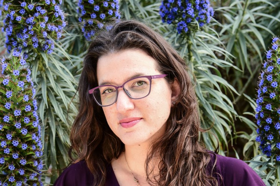 Una música futura: cuentos sobre soledades y esperas | La Malinche blog